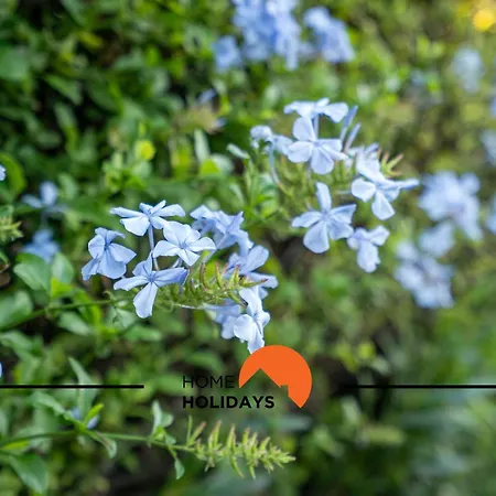 #239 Vivenda V3 Com Piscina By Holidays Villa Albufeira