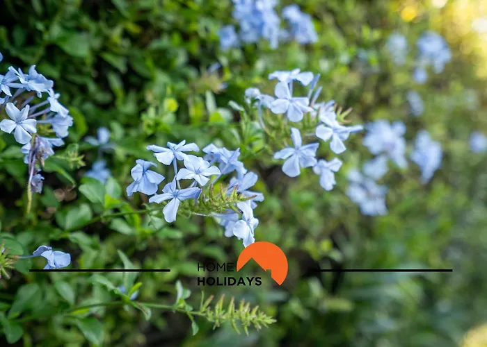 #239 Vivenda V3 Com Piscina By Holidays Villa Albufeira